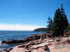 Otter Cliffs (Acadia National Park)