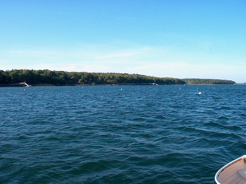 The Goslings, looking north towards Goose Island