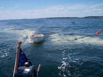 Glissando and the dinghy leave a trail through a stain of pollen